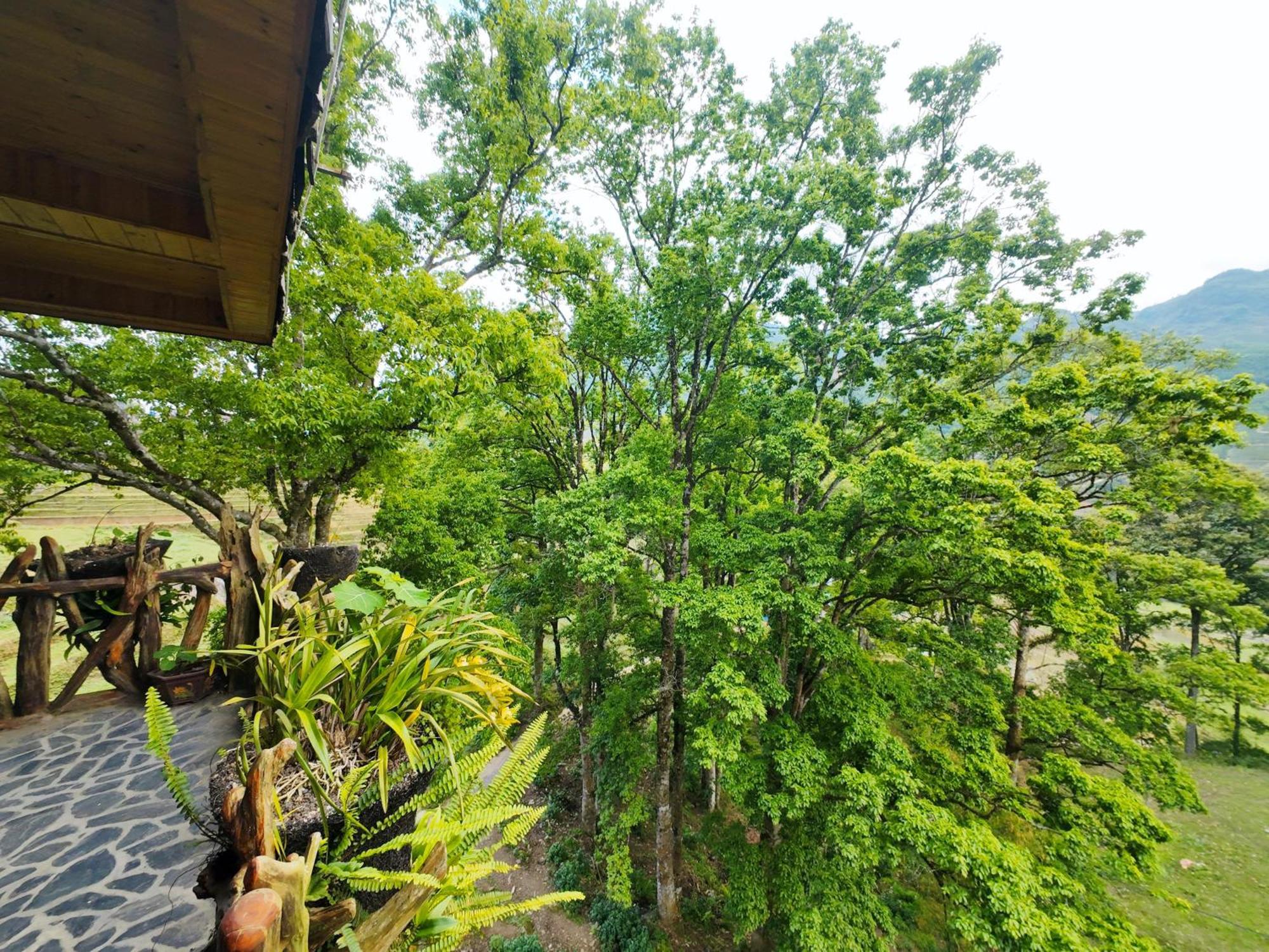 Mt House Sa Pa Sapa Exterior foto